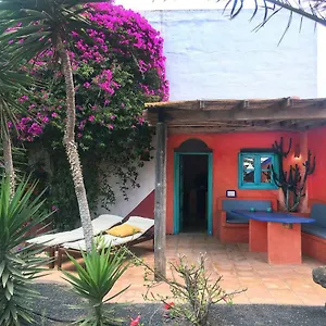 https://casa-panamain-der-finca-mimosa.in-canary-islands.com